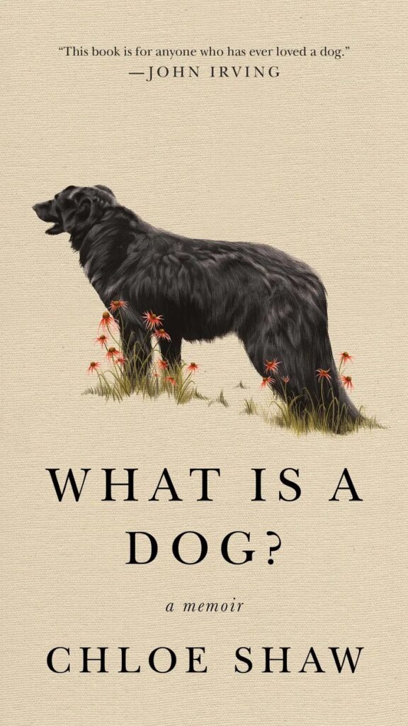 Image of the cover of Chloe Shaw's new book, 