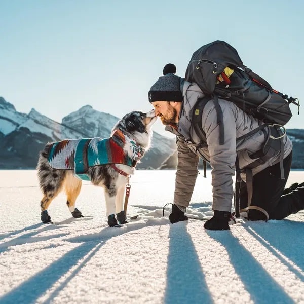 Todd kneeling down in snow to get a kiss on the nose from Farley