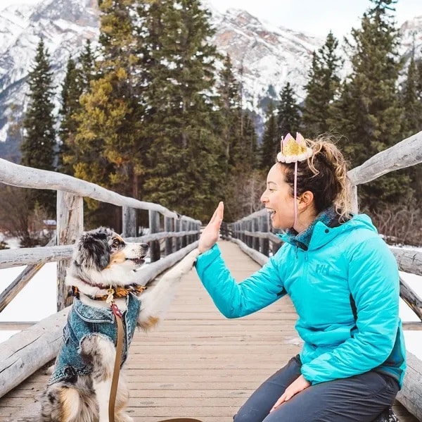 Victoria, kneeling down, hi-fiving Farley with the Canadian Rockies in the background