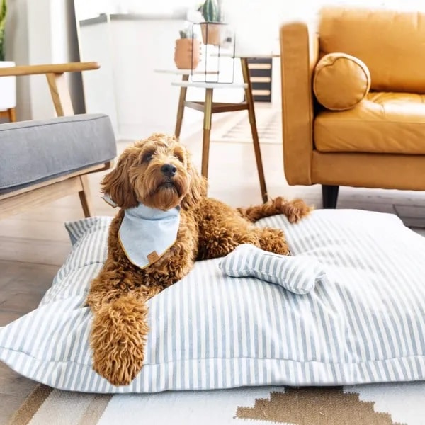Golden fluffy dog lying on a blue & white striped denim dog bed