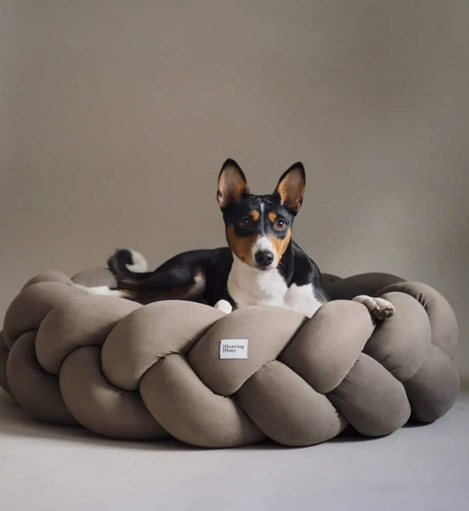 Braided style dog bed from Hunting Pony
