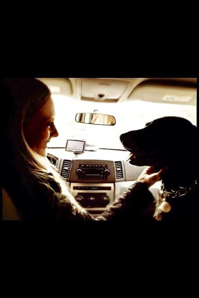 Image of Jenna and Woodrow in the front seat of a car, gazing at each other adoringly
