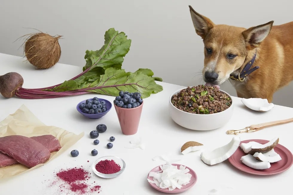 A light brown, mixed breed dog, eating from a full bowl of food that's resting on a table along with blueberries, coconuts, etc. - Love, Dog