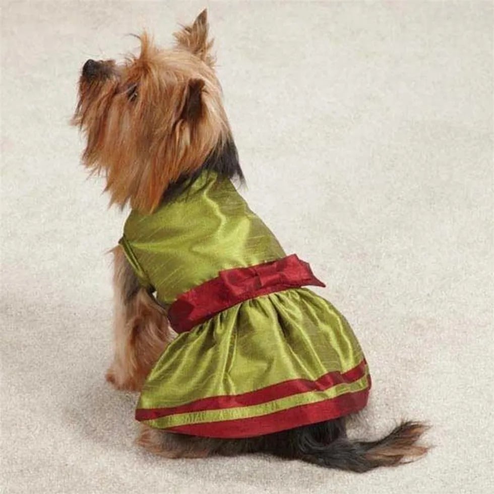 Dog Holiday Dress