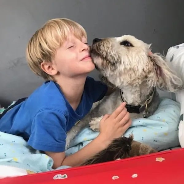 Image of the author's son, Ollie, and his dog, Brooklyn, cuddling. -Love, Dog-