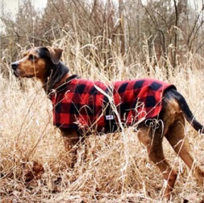 Buffalo Plaid Dog Coat Love Dog