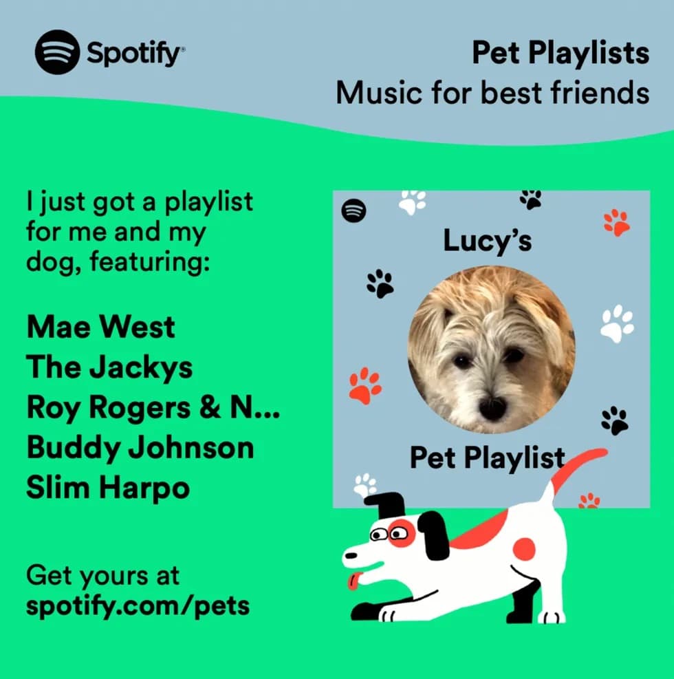 Spotify makes playlists for pets