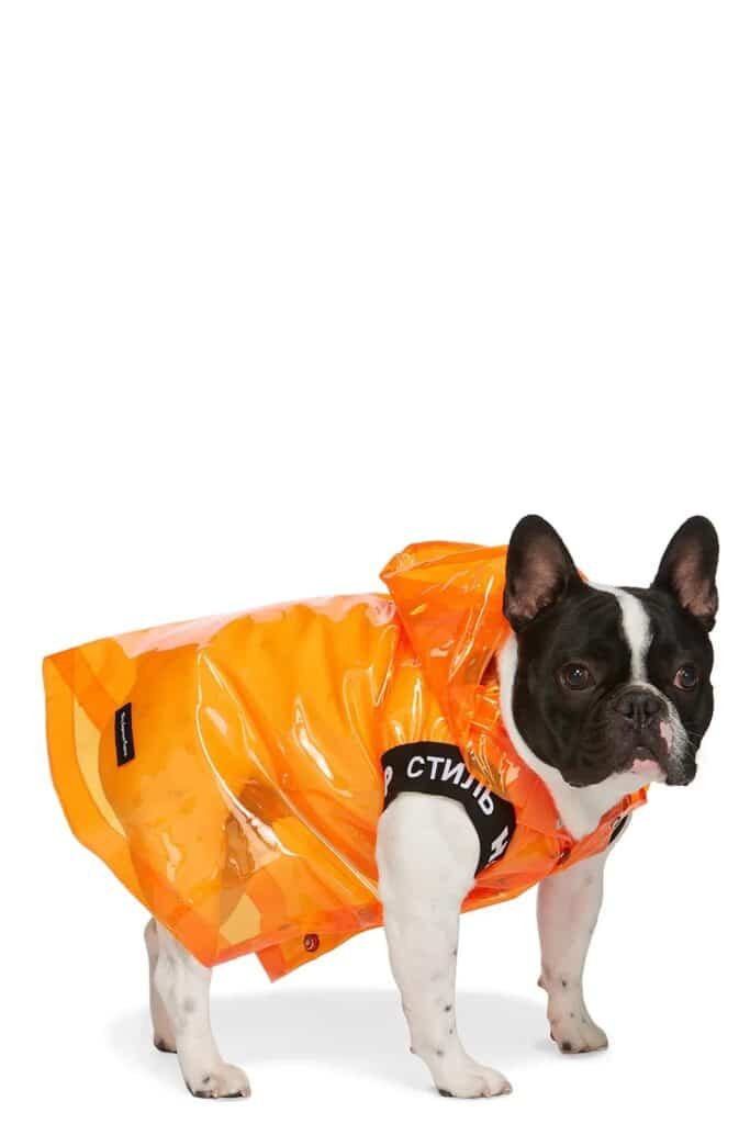 One of my favorite French Bulldog mascots - Hulot, for Goyard of Paris :  r/Frenchbulldogs