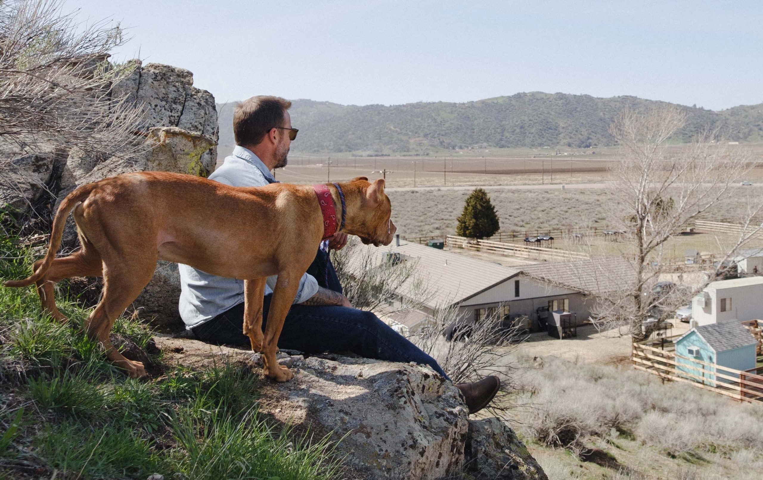 The Story of Hero: From Tragedy to Triumph, a Puppy’s Journey of ...