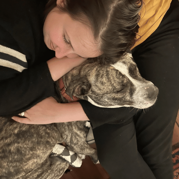 Coffee Cake, a mixed breed at PAWS Philadelphia, being caressed by a woman on a sofa