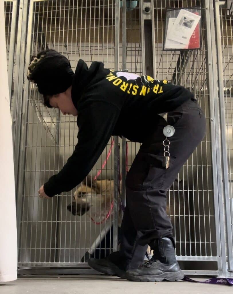 Marlena working in a shelter, bending over to assist a dog in a crate